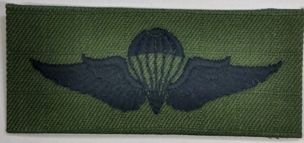 画像1: 空挺徽章 (1)